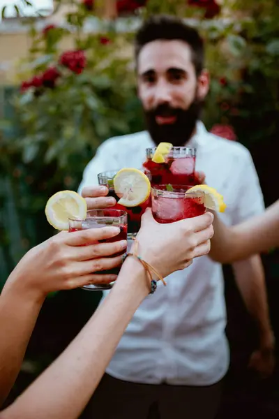 Group Cheerful Friends Clinking Glasses Party — Stock Photo, Image