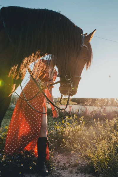 Молодая Женщина Длинном Красном Платье Смотрит Лошадь Стоя Ранчо Солнечный — стоковое фото