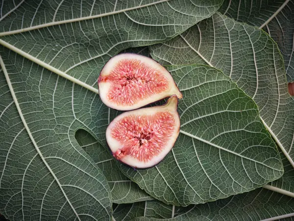 반으로 열매의 — 스톡 사진