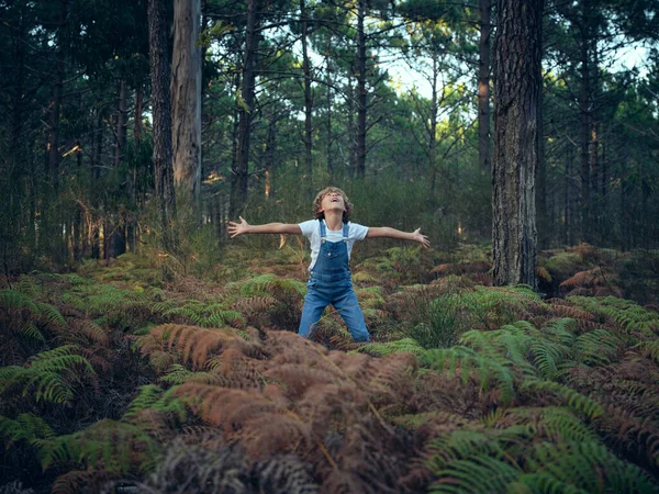 Kolları havada gülen bir çocuk yaz tatili boyunca eğrelti otlarıyla çevrili ormanda eğleniyor.