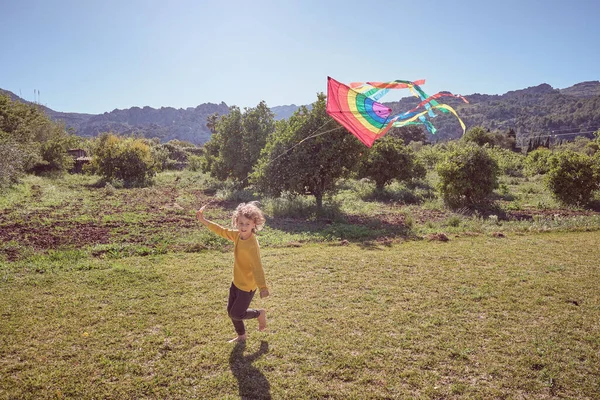 晴れた日の公園で緑の芝生にカラフルな虹の紙のカイトが付いている子供の完全な高さの側面の眺め — ストック写真