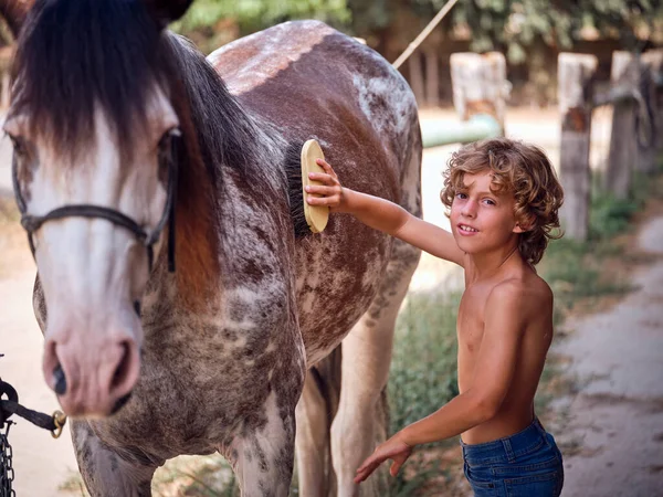 Gülümseyen çocuk at kürkünü fırçayla fırçalayarak atlara bakmasına yardım ediyor.