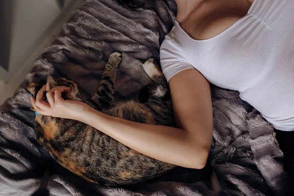 편안한 침대에 집에서 사랑스러운 고양이를 스트로킹 귀여운 — 스톡 사진