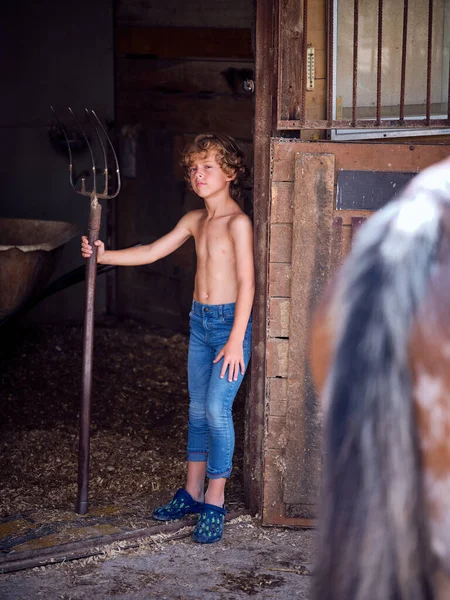 Kot pantolonlu ve spor ayakkabılı tişörtsüz çocuk eski ahırın girişinde duruyor ve ön planda at kuyruğuyla dirgenlere yaslanıyor.