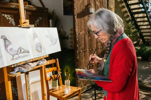 Zijaanzicht Van Oude Vrouwelijke Kunstenaars Schilderen Doek Achtertuin Zonnige Dag — Stockfoto