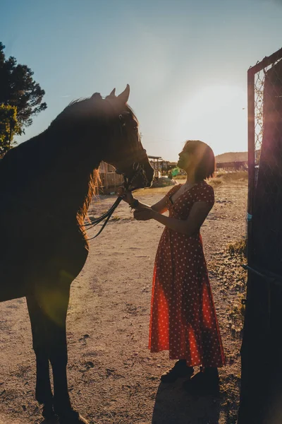 在乡间阳光明媚的日子里 身穿红色长裙的年轻女子站在牧场的院子里看着马 — 图库照片