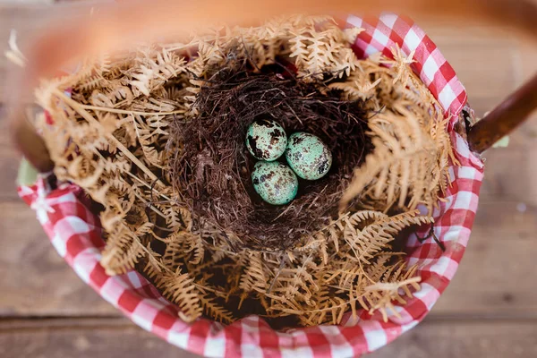 Nest Blue Eggs Basket — Stock Photo, Image
