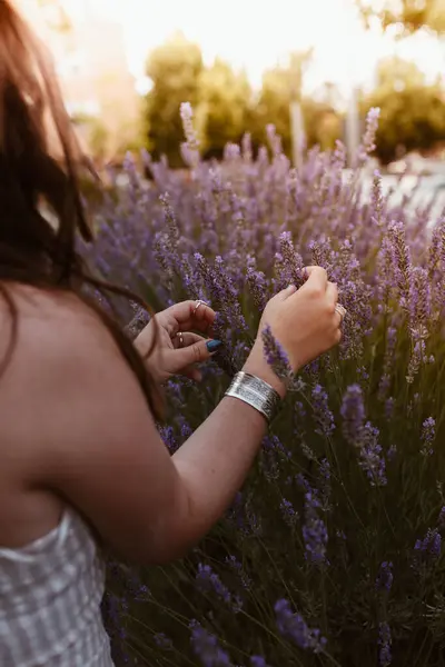Crop Onherkenbaar Langharige Vrouw Aanraken Van Lavendel Bloemen Een Weide — Stockfoto