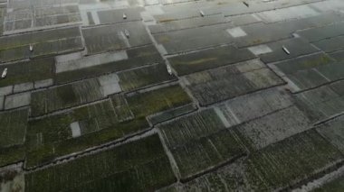 Eucheuma Cottonii çiftliği ve Nusa Lembongan Adası 'nda güneşli bir yaz günü bulunan deniz suyuna demirlemiş tekneleri olan su altı çiftliğinin havadan görünüşü.