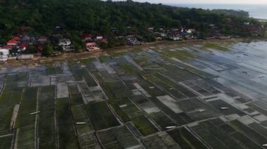 Nusa Lembongan adasının havadan görüntüsü, orman yakınlarındaki su altı algleri ve Endonezya 'daki evler. 