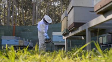 Arı kovanında çalışırken özel sigara içen koruyucu kostümlü ve eldivenli profesyonel erkek arı yetiştiricisi.