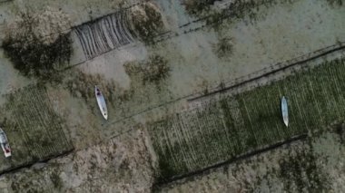 Eucheuma Cottonii çiftliği ve Nusa Lembongan Adası 'nda güneşli bir yaz günü bulunan deniz suyuna demirlemiş tekneleri olan su altı çiftliğinin havadan görünüşü.