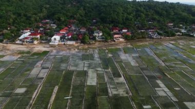 Nusa Lembongan adasının sol kıyısında, orman yakınlarındaki su altı su altı tarlaları ve Endonezya 'daki evleri olan hava manzaralı bir yer.