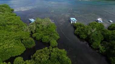 İnsansız hava aracı, Endonezya 'nın Nusa Lembongan Adası' ndaki yeşil ağaçlarla çevrili kırmızı yosun tarlalarını gerçek zamanlı görüyor.