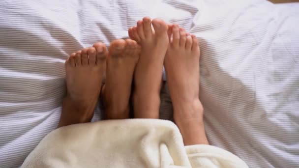 上記の作物から 匿名の裸足 愛するレズビアンカップル 居心地の良いベッドで自宅で居心地の良いベッドの下に横たわる — ストック動画