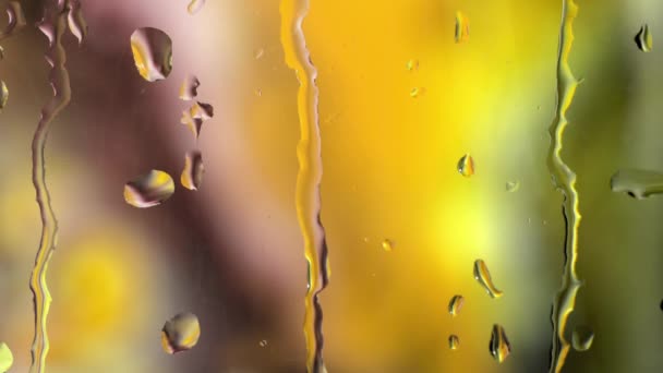 ガラス表面に広がるカラフルな水の窓を介してリアルタイムにクローズアップし 多色のぼやけた背景に対する雨滴 — ストック動画