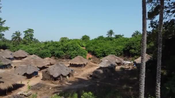 Повітряні Пейзажі Сільських Будинків Оточених Зеленими Пишними Деревами Розташованими Тропічному — стокове відео