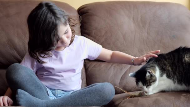 可爱的小女孩穿着休闲装坐在皮革沙发上 与家猫在客厅玩耍 — 图库视频影像