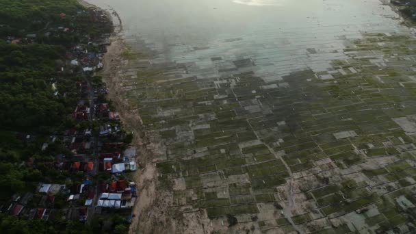 インドネシアに位置する森林や家屋の近くに赤い藻類の水中農場を持つヌサレンボンガンの島の海岸の空中ビュー — ストック動画