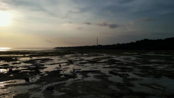 Endonezya Günbatımında Eucheuma Cottonii Plantasyonu Ile Deniz Suyunda Yüzen Teknelerin — Stok video