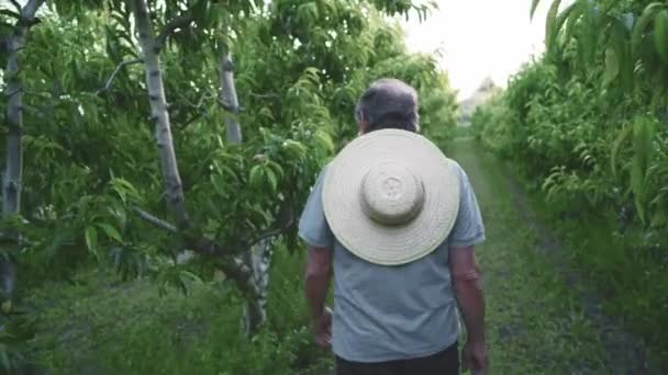 Відстеження Вигляду Спокійного Старшого Садівника Чоловіка Повсякденному Одязі Солом Яним — стокове відео