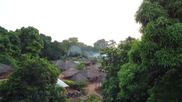 Pemandangan Udara Rumah Rumah Pedesaan Dikelilingi Oleh Pohon Pohon Yang — Stok Video