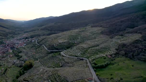 Pintoresco Paisaje Con Cerezos Florecientes Creciendo Campo Valle Jerte — Vídeo de stock