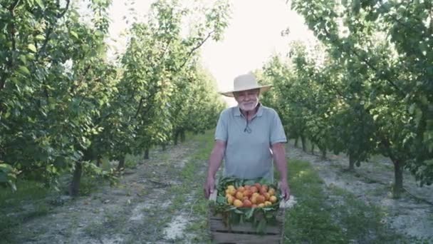 Allevato Anziano Agricoltore Maschio Abiti Casual Cappello Paglia Sorridente Guardando — Video Stock