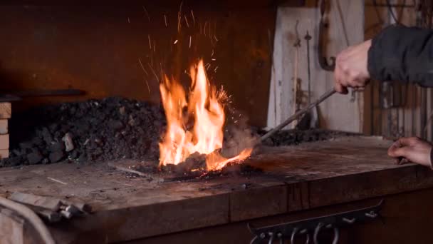 Cosecha Anónima Joven Herrero Masculino Ropa Casual Mantener Carbón Forjar — Vídeo de stock