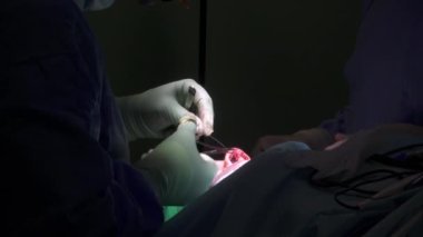 Tanımlanamayan koruyucu eldivenli cerrahlar hastanedeki burun ameliyatı sırasında anonim bir hastanın burnuna dikiş atıyorlar.