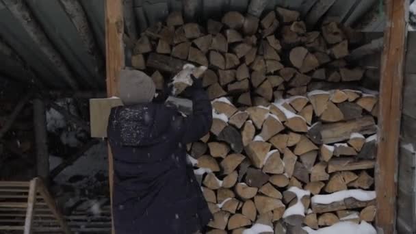 Young Woman Wearing Warm Clothes Putting Firewood Stacked Shed Snowfall — Stock Video