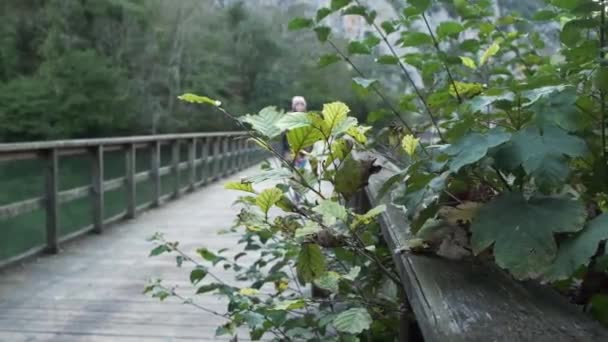 初秋の日 穏やかな湖の上の木製の歩道橋を歩く暖かい服の正の若い女性 — ストック動画