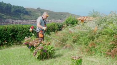 Koruyucu kalkan maskeli yaşlı adam gölde çim biçme makinesiyle arka bahçede çim biçiyor.