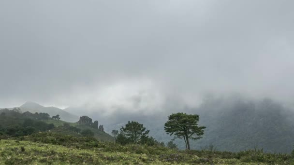 Time Lapse Thick Fog Covering Picos Europa Mountain Ridge Green — Vídeos de Stock