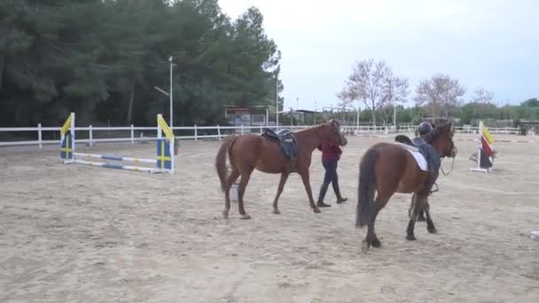 Adolescentes Jóquei Capacete Levando Cavalos Enquanto Caminham Chão Arenoso Arena — Vídeo de Stock