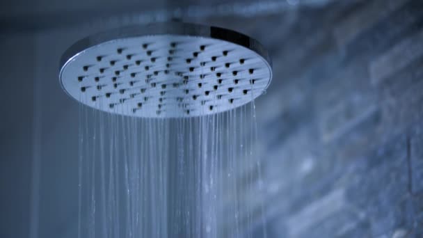 Cabeça Chuveiro Com Água Corrente Banheiro — Vídeo de Stock