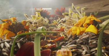 Baharda taze çiçeklerle kaplı bir masanın makro manzarası