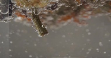 Yenilebilir çiçeklerin sıcaktan pişerken yakınlaşması