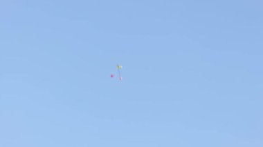 Gerçek zamanlı renkli balonlar bulutsuz mavi gökyüzünde süzülüyor yaz günü güneşli havada.