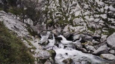 Kayalık taşların arasında akan köpüklü su akıntısı
