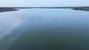 İspanya 'daki durgun göl su yüzeyinde uçan beyaz kuş sürüsünün drone görüntüsü