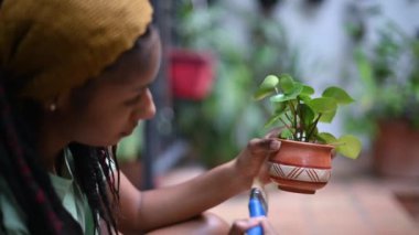 Güzellik meraklısı Afrikalı bir kadının küçük bir bitkiyle kapladığı yakın plan. 