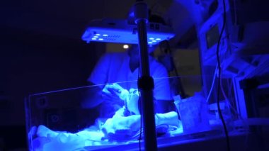 Tıp çalışanı, hastanede çalışırken, bebeği küvöze bağlı tüplerle besliyor.