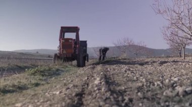 Sonbaharda tarlada çalışırken kayalarla toprak kazıp traktörün izini süren kıdemli çiftçinin tüm vücudu.