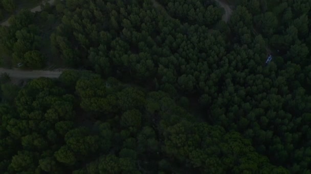 Sklon Drone Pohled Svěží Lesní Stromy Rostoucí Břehu Přehrady Guadalteba — Stock video
