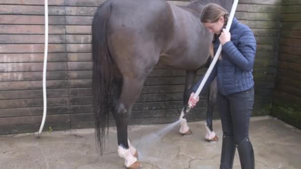 Teen Κορίτσι Χρησιμοποιώντας Σωλήνα Για Πλύνετε Παλτό Του Roan Άλογο — Αρχείο Βίντεο