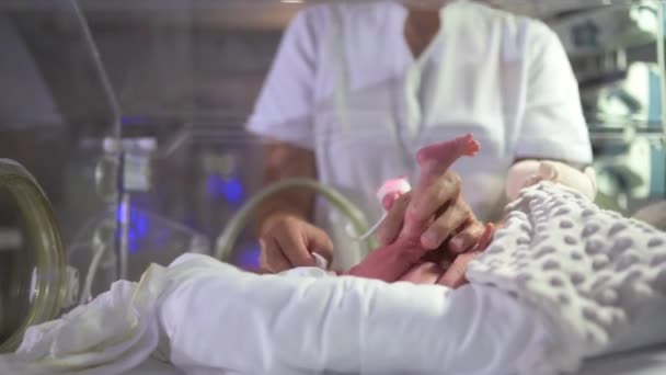 Νοσηλεύτρια Καλλιεργειών Κρατώντας Μικρό Πόδι Του Άρρωστου Μικροσκοπικού Μωρού Που — Αρχείο Βίντεο