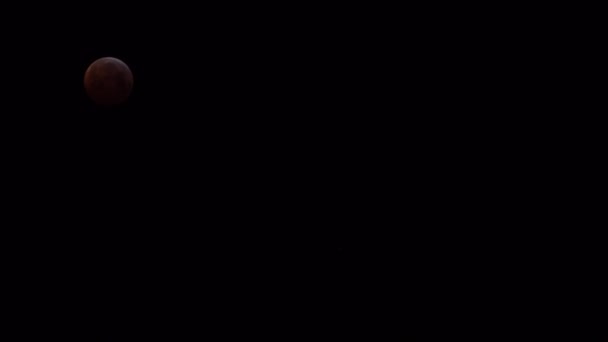 Lapso Tempo Lua Movimento Rápido Durante Eclipse Lunar Céu Negro — Vídeo de Stock