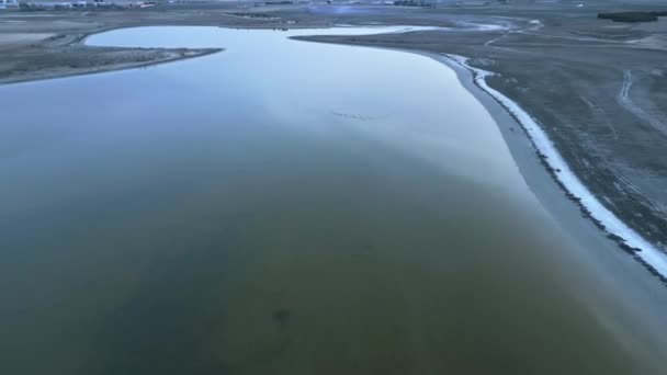 Drone Zicht Kudde Witte Vogels Vliegen Boven Nog Meer Wateroppervlak — Stockvideo