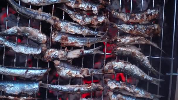 Cuocere Arrostire Pesce Marinato Sulla Griglia Thunnini Grigliato Sul Carbone — Video Stock